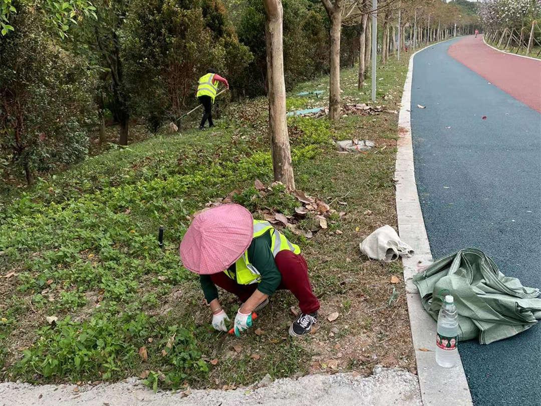 夏季园林绿化养护